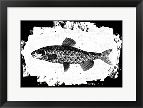 Framed Fish II Print