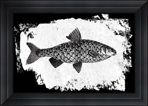 Framed Fish I Print