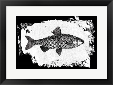 Framed Fish I Print