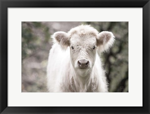 Framed White Calf Print