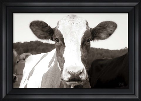 Framed At the Barn Print