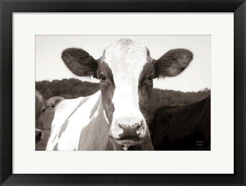 Framed At the Barn Print