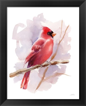 Framed Winter Cardinal Print