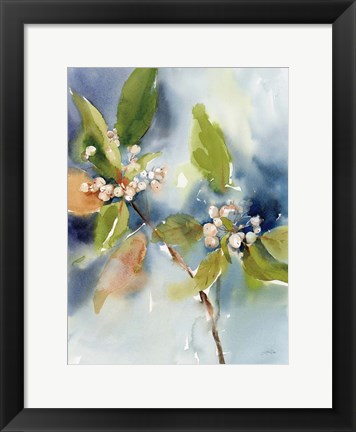 Framed Winter Berries Print