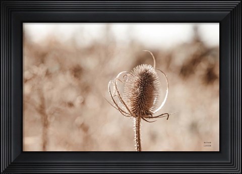 Framed Fall Turns Print