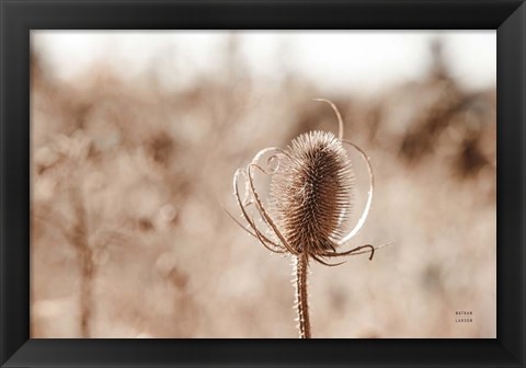 Framed Fall Turns Print