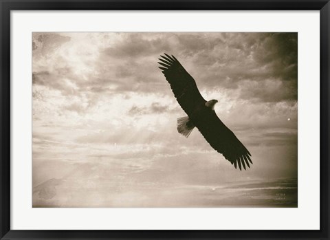 Framed Sunray Eagle Print