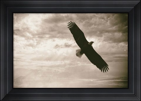 Framed Sunray Eagle Print