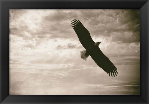 Framed Sunray Eagle Print
