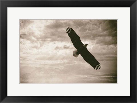 Framed Sunray Eagle Print