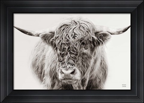 Framed Highland in the Winter Fog BW Print