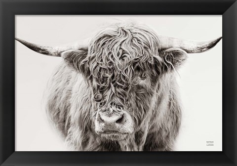 Framed Highland in the Winter Fog BW Print