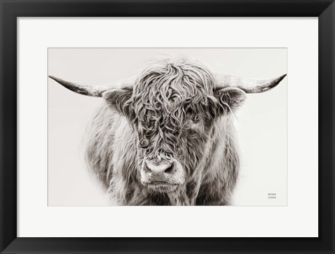 Framed Highland in the Winter Fog BW Print