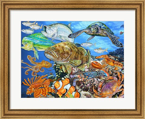 Framed Sea Life of the World 2 Print