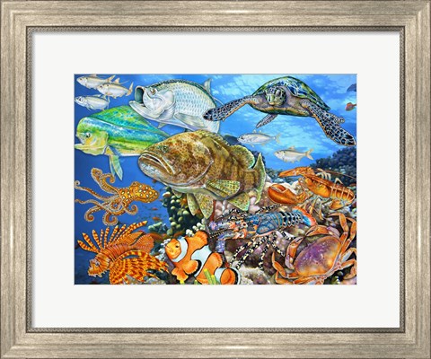Framed Sea Life of the World 2 Print