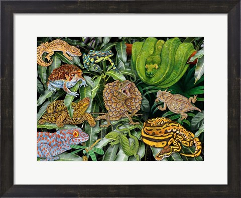 Framed Reptile &amp; Amphibians Print