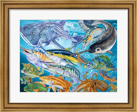 Framed Sea Life of the World Print