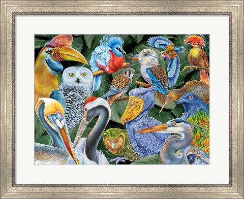 Framed Birds of the World Print