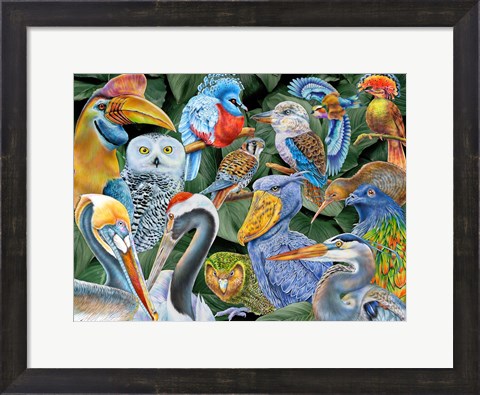 Framed Birds of the World Print