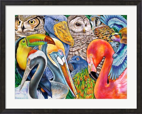 Framed Collage Birds Horizontal Print