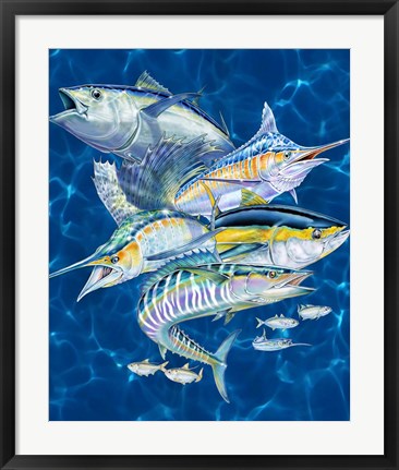 Framed Gamefish Print