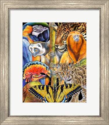 Framed Collage Rainforest Animals Print