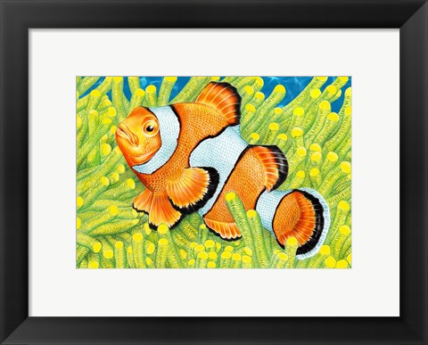 Framed Clownfish Print