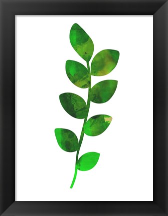 Framed Zamioculcas Leaf Print