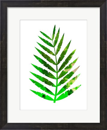 Framed Tropical Leaf Print