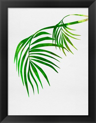Framed Palm Tree Leaves Print