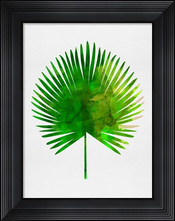 Framed Tropical Chamaerops Leaf Print
