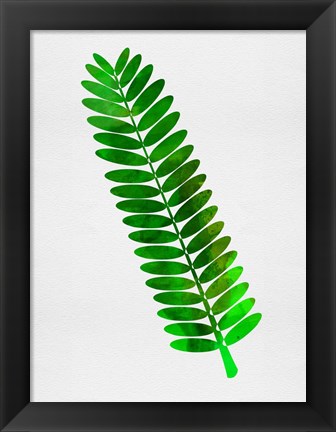 Framed Leaf Branch Print