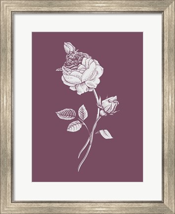 Framed Rose Purple Flower Print