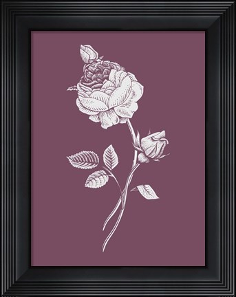 Framed Rose Purple Flower Print