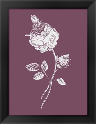 Framed Rose Purple Flower Print