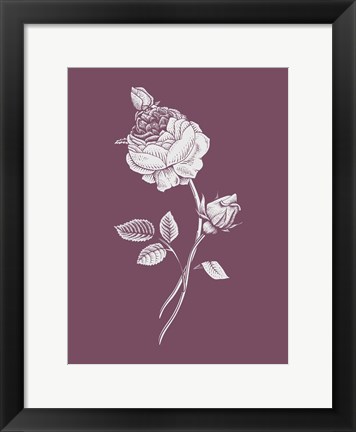 Framed Rose Purple Flower Print