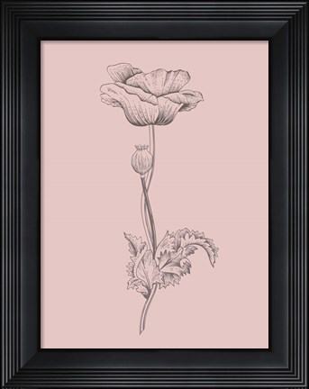 Framed Poppy Blush Pink Flower Print