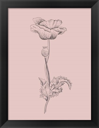 Framed Poppy Blush Pink Flower Print