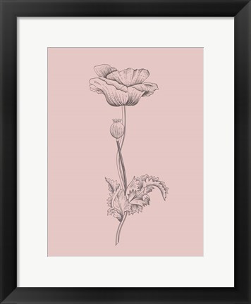 Framed Poppy Blush Pink Flower Print