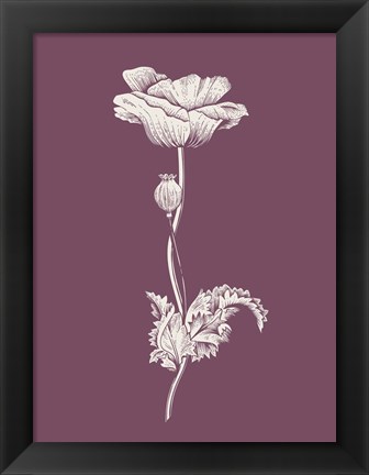 Framed Poppy Purple Flower Print