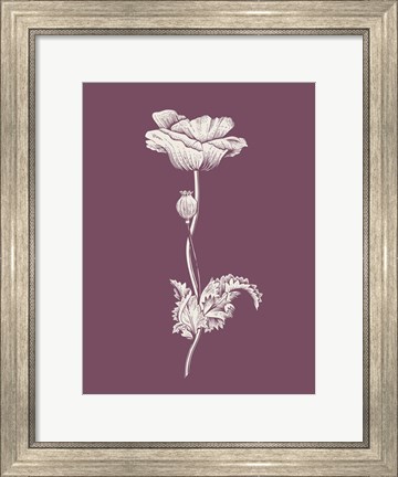 Framed Poppy Purple Flower Print