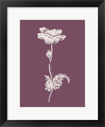 Framed Poppy Purple Flower Print