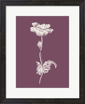 Framed Poppy Purple Flower Print
