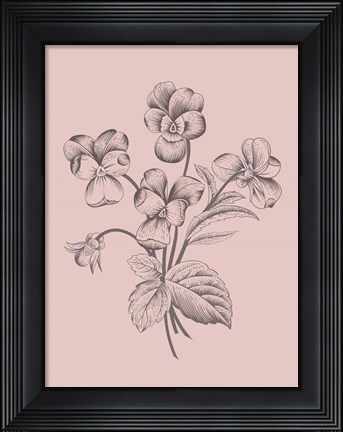 Framed Violet Blush Pink Flower Print