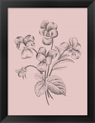 Framed Violet Blush Pink Flower Print