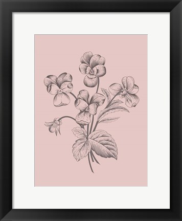 Framed Violet Blush Pink Flower Print