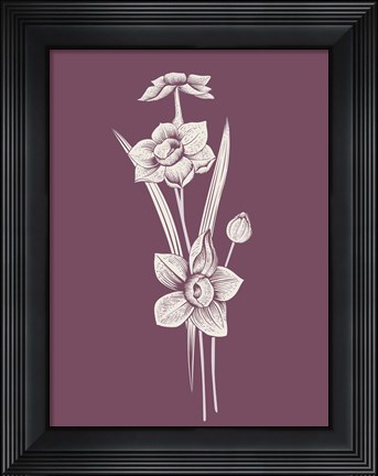 Framed Narcissus Purple Flower Print