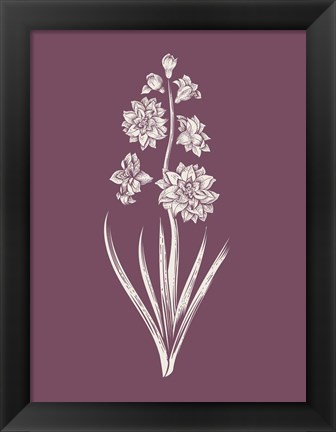 Framed Hyacinth Purple Flower Print