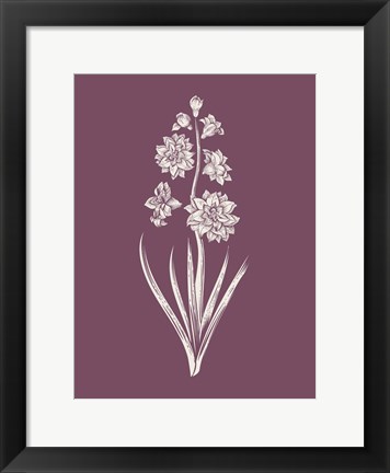 Framed Hyacinth Purple Flower Print