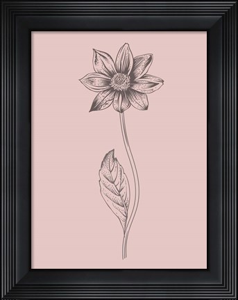 Framed Dahlia Blush Pink Flower Print